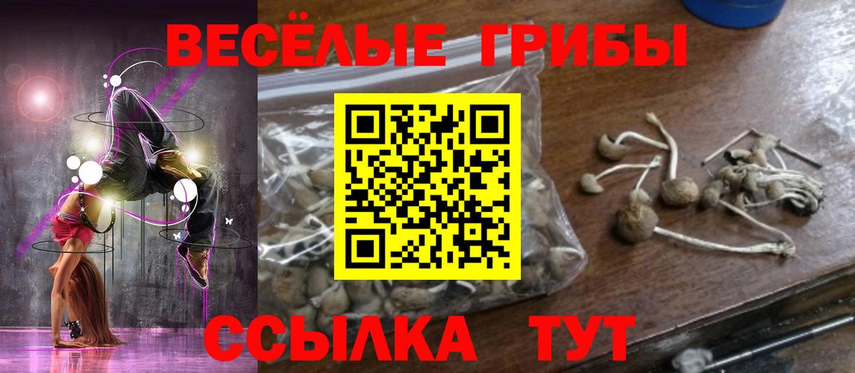 Псилоцибиновые грибы MAGIC MUSHROOMS Муравленко